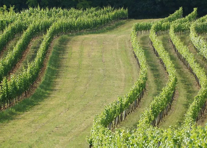 Winzerzimmer - Weingut Tinhof