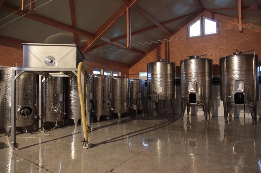 Homestay Winzerzimmer - Weingut Tinhof *