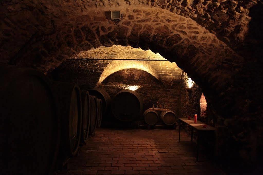 Winzerzimmer - Weingut Tinhof *